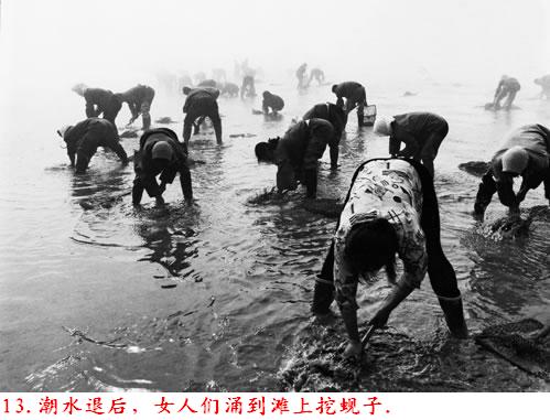 �����˽����ϴ������������Ƭ�����ڷ���ɽ�ģ�