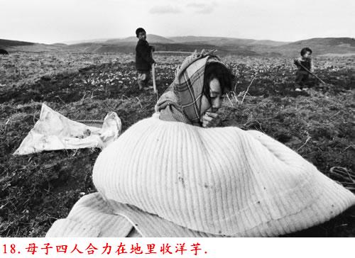 �����˽����ϴ������������Ƭ�����ڷ���ɽ�ģ�