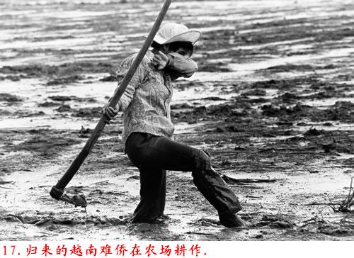 �����˽����ϴ������������Ƭ�����ڷ���ɽ�ģ�