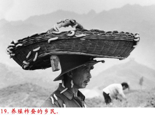 �����˽����ϴ������������Ƭ�����ڷ���ɽ�ģ�