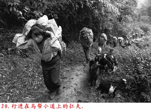 �����˽����ϴ������������Ƭ�����ڷ���ɽ�ģ�