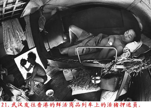 �����˽����ϴ������������Ƭ�����ڷ���ɽ�ģ�