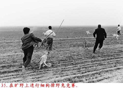 �����˽����ϴ������������Ƭ�����ڷ���ɽ�ģ�