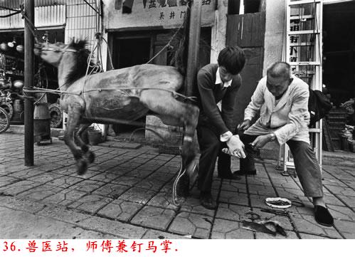 �����˽����ϴ������������Ƭ�����ڷ���ɽ�ģ�