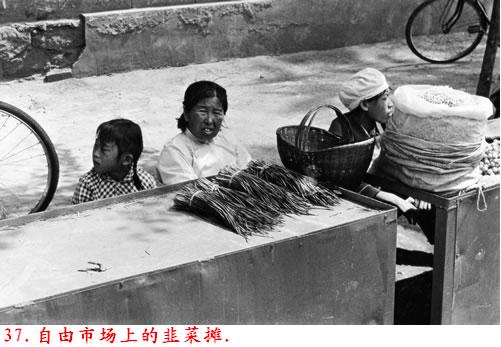 �����˽����ϴ������������Ƭ�����ڷ���ɽ�ģ�