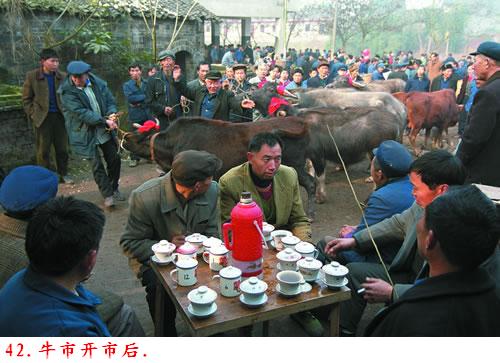 �����˽����ϴ������������Ƭ�����ڷ���ɽ�ģ�