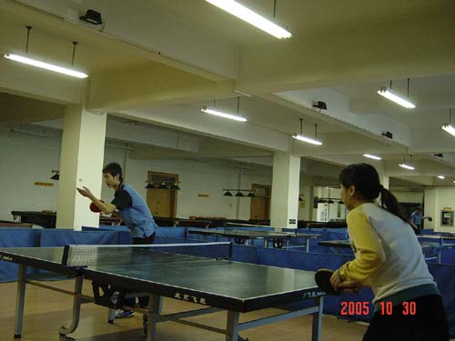 ��������ϵķ��֮��