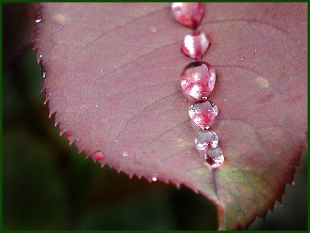 ӰƷ֮һ