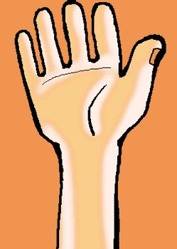 13�������ͳ��óԵģ��������ͣ���