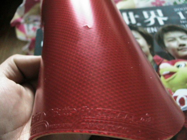 [�Ƽ�]������֣��ÿ��Ŀ���������򣡸Ͽ졫