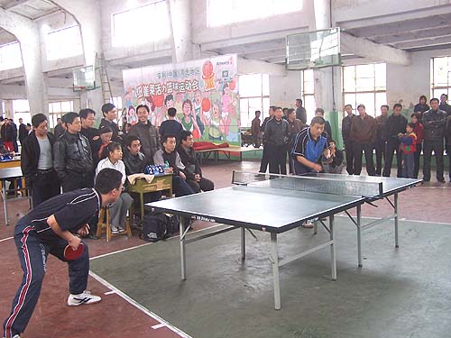 �����׽�"���ű�"ƹ����������