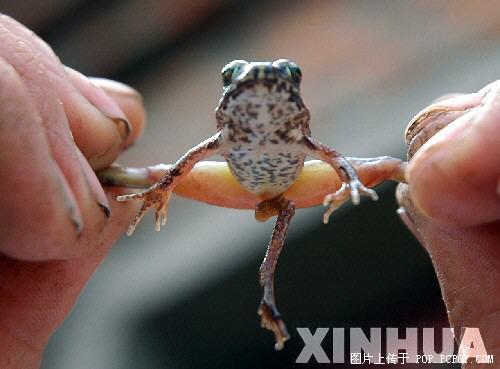 [��ˮ]���˵���Ϣ