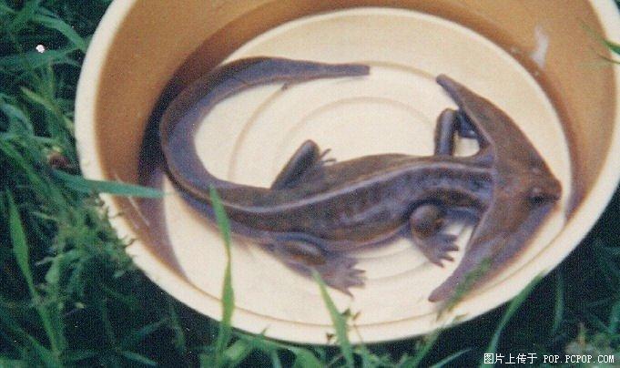 [��ˮ]���˵���Ϣ