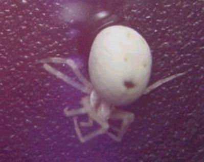 [��ˮ]���˵���Ϣ