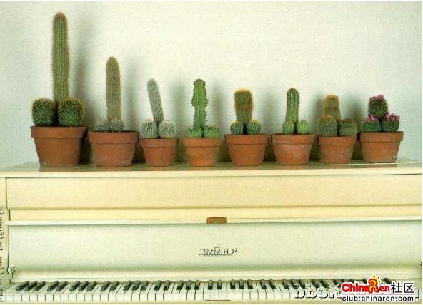 [��ˮ]���˵���Ϣ