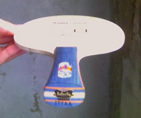 [ԭ��]ת��9.5���º���������̼FL��450Ԫ