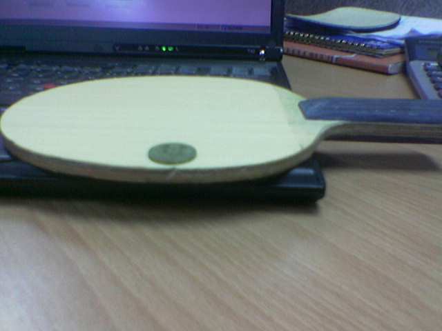 TIBHAR��ķ̼��ֱ�壨8���£������� 420Ԫ