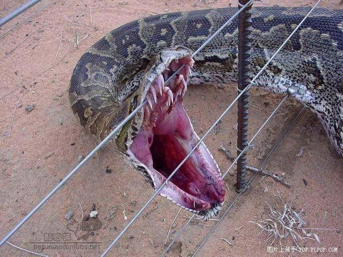 [��ˮ]���˵���Ϣ