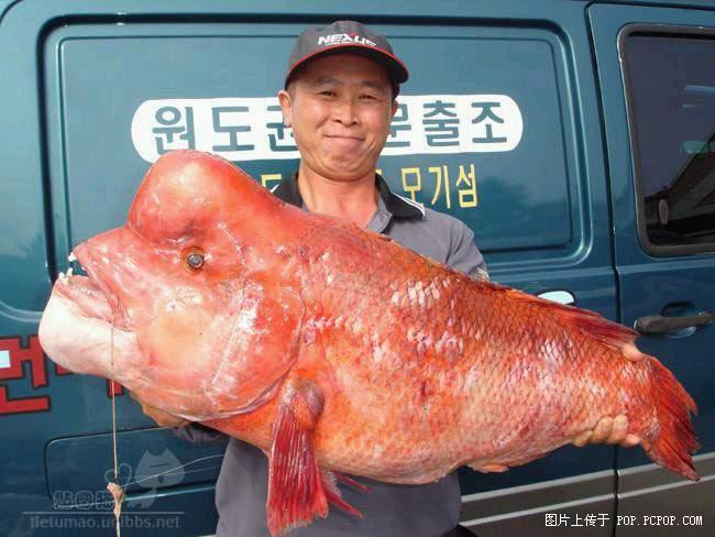 [��ˮ]���˵���Ϣ