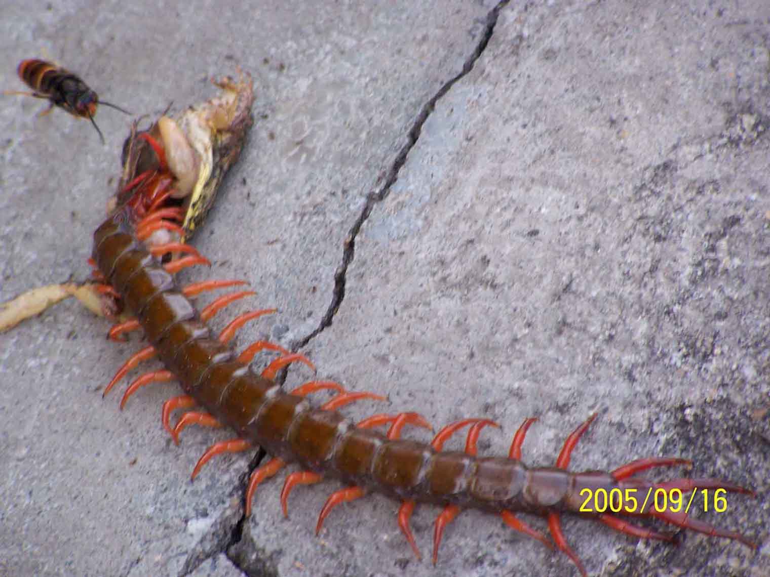 [��ˮ]���˵���Ϣ