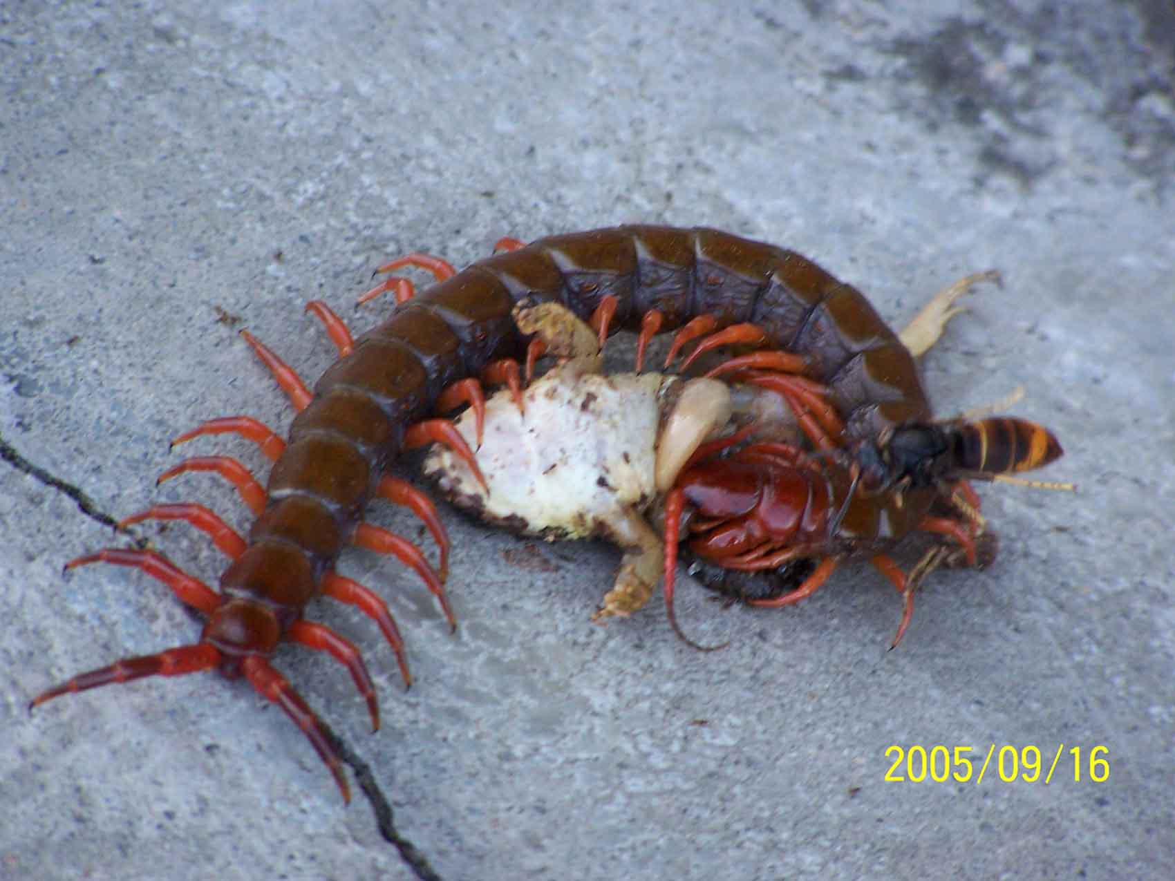 [��ˮ]���˵���Ϣ