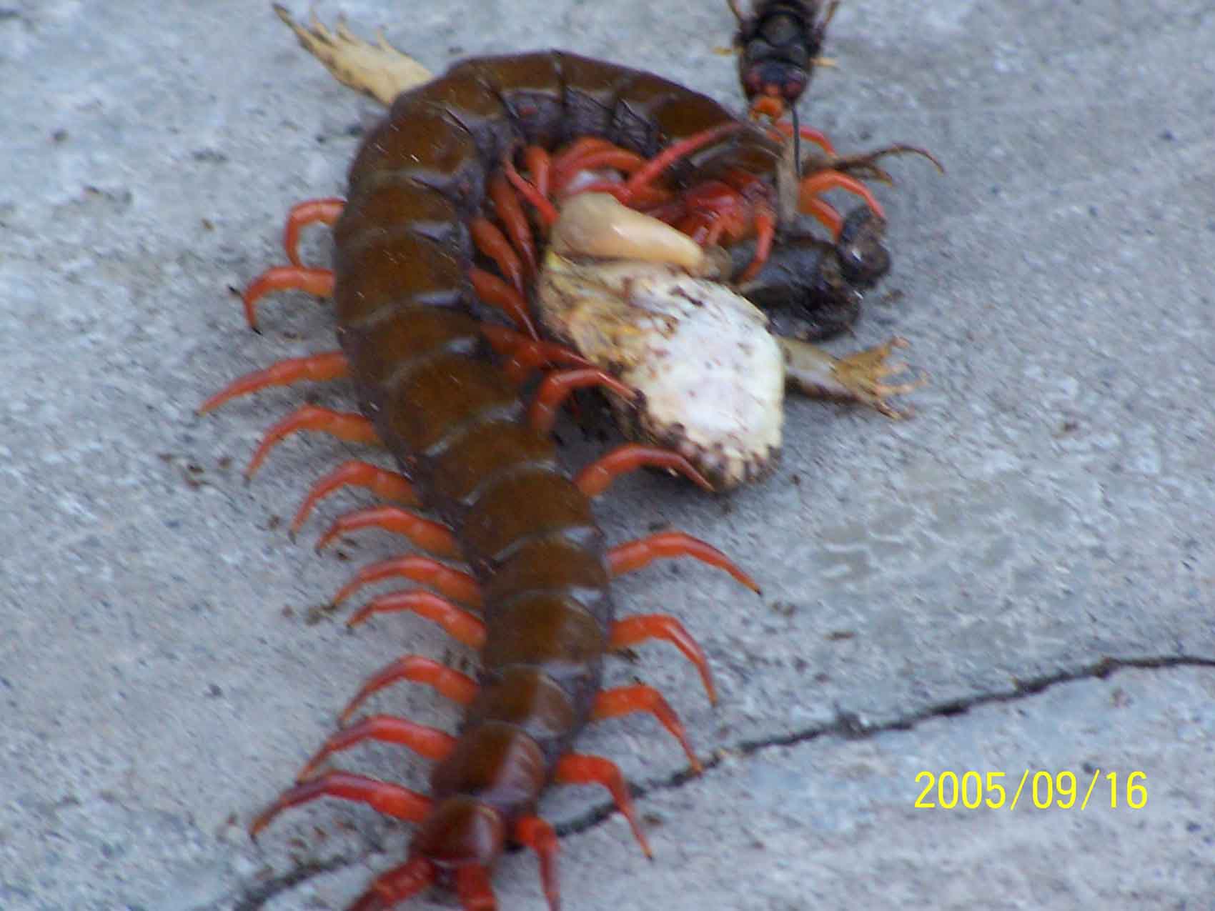 [��ˮ]���˵���Ϣ