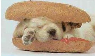 �����ƽʱ������ʳ