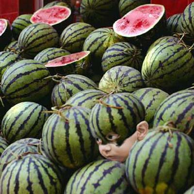 δ��ͬѧ���ߴ��ʲô�����ĳ���