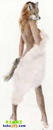 �����ϴ�����ɽׯ԰�����ļ�ֻ����