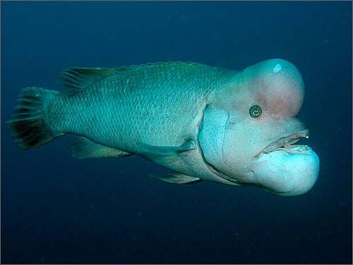 [��ˮ]���˵���Ϣ