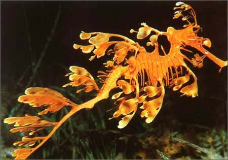 [��ˮ]���˵���Ϣ