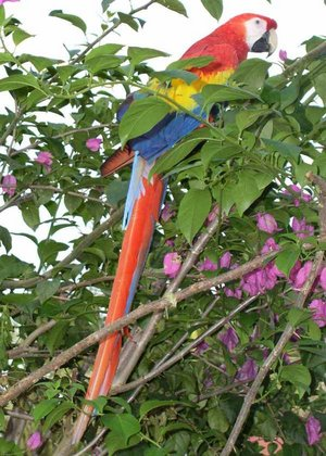 [��ˮ]���˵���Ϣ