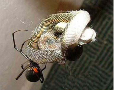 [��ˮ]���˵���Ϣ