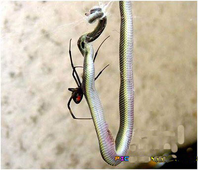 [��ˮ]���˵���Ϣ