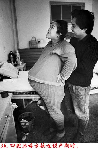 �����˽����ϴ������������Ƭ�����ڷ���ɽ�ģ�������