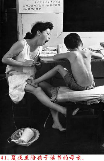 �����˽����ϴ������������Ƭ�����ڷ���ɽ�ģ�������