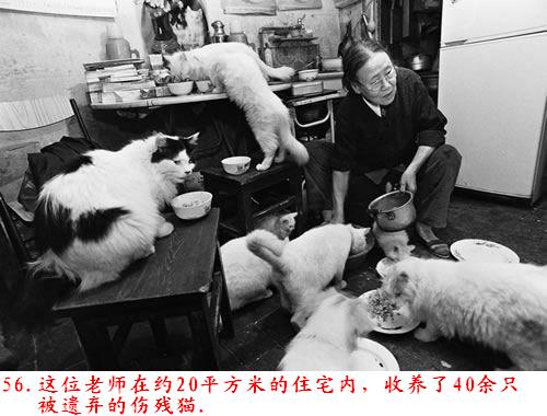 �����˽����ϴ������������Ƭ�����ڷ���ɽ�ģ�������