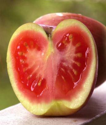 [��ˮ]���˵���Ϣ