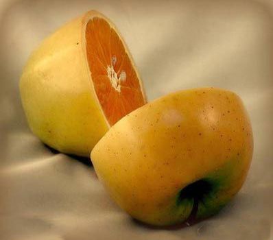 [��ˮ]���˵���Ϣ