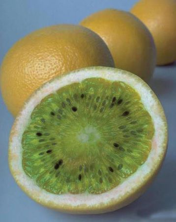 [��ˮ]���˵���Ϣ