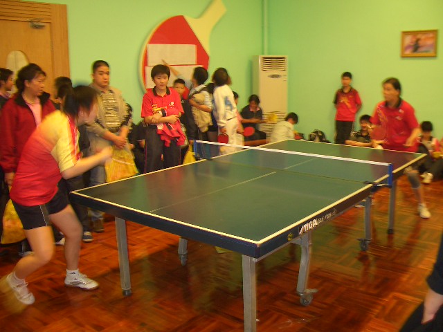 STIGAƹ硷ƹʽͼƬ֣