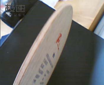 ��Ҫһֻpalio R51