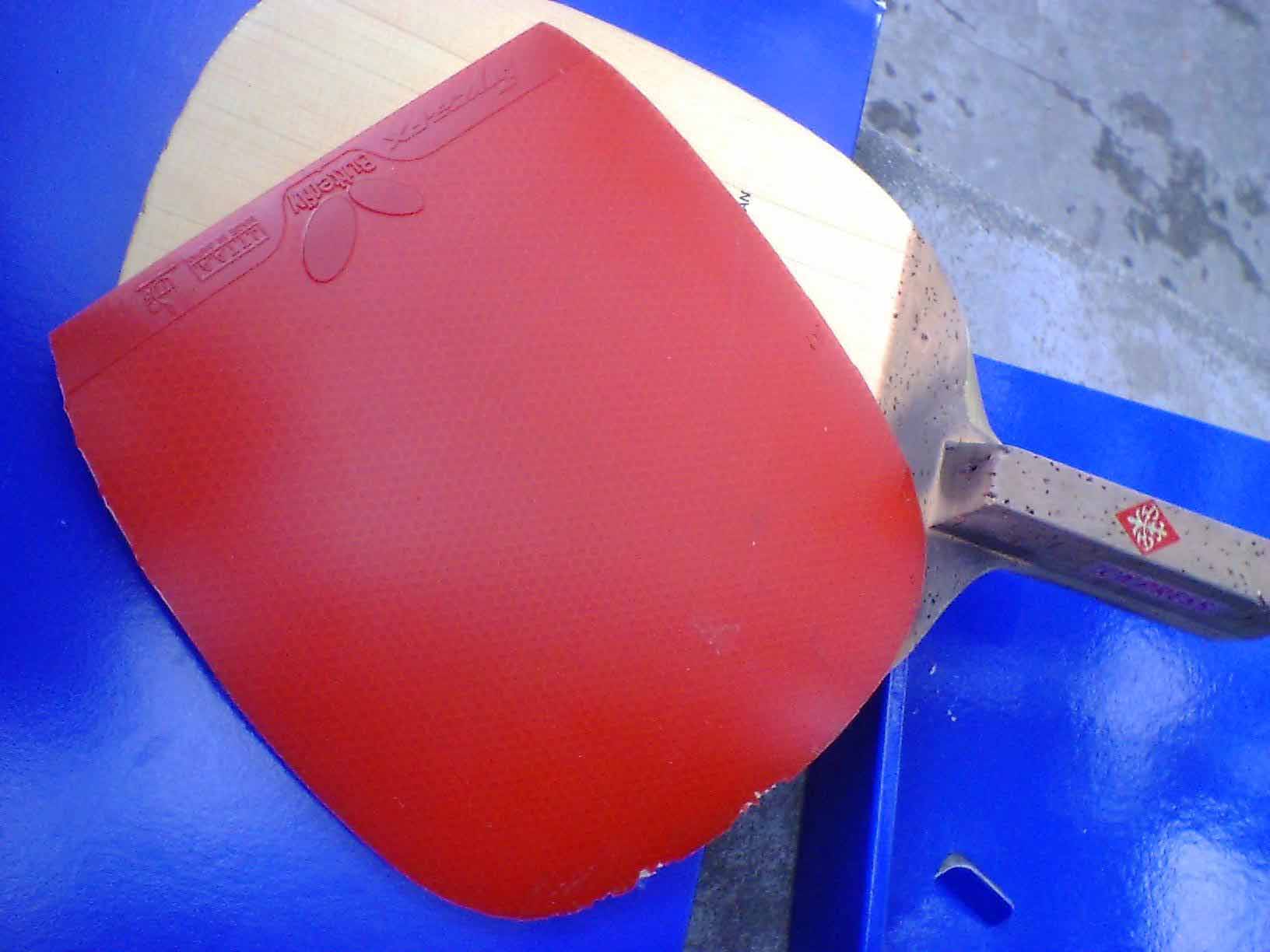 [��ͼ][����]���˳��۾ų��µ�"������"��ʽֱ�ĺͺ���"���"�׽�  ��ͼ!!!