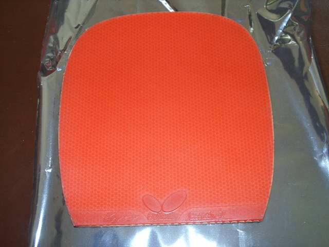 ���µĴ�ͽ����ˣ��Գ���