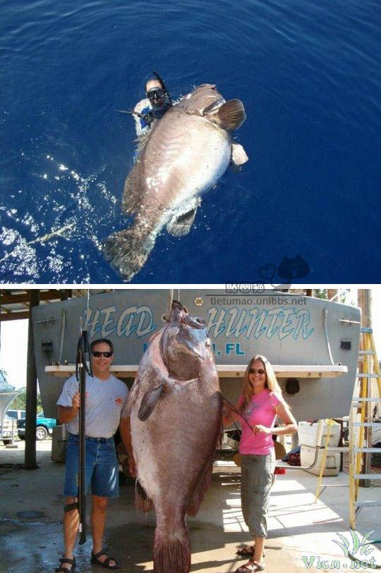 [��ˮ]���˵���Ϣ