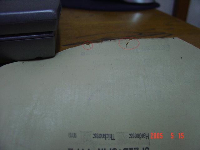 �������鰮����ħ���׽�