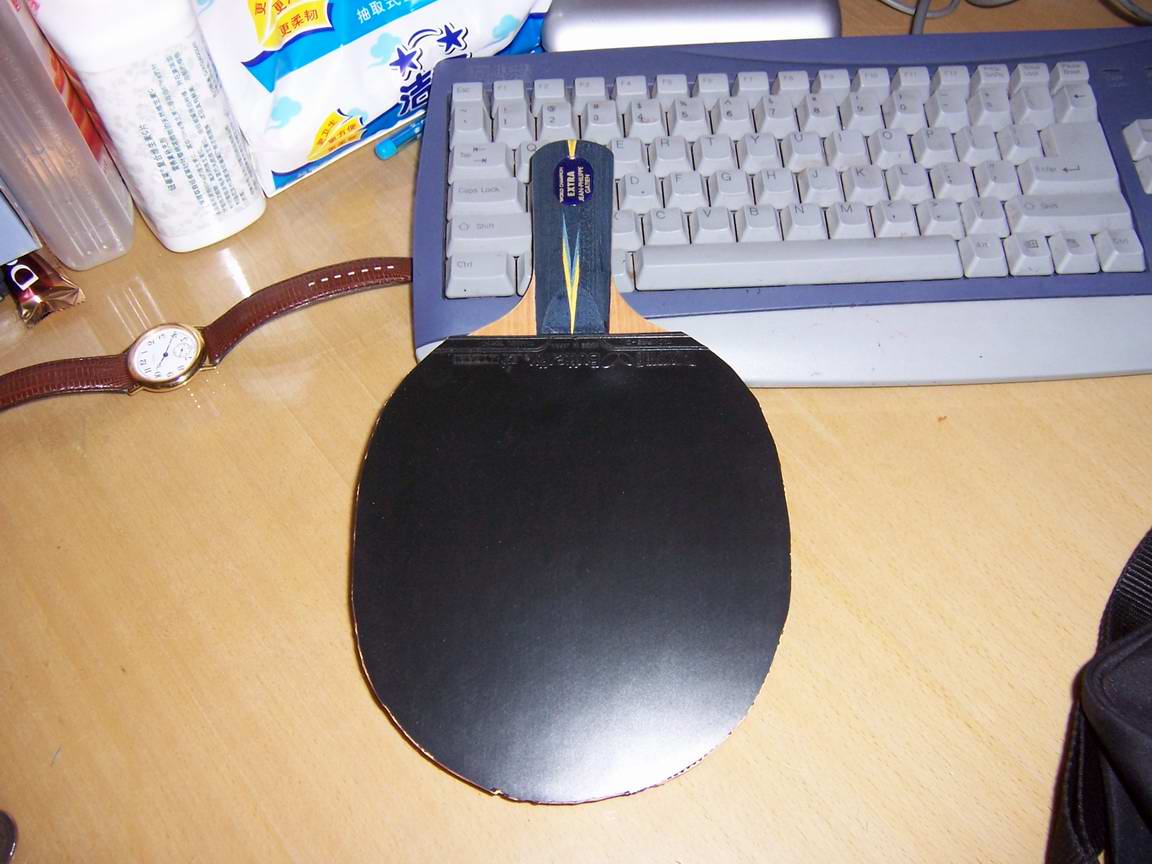 ֣YE״ͼ֧֣