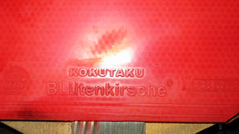 ûϤKOKUTAKU׽ ˵һ˵