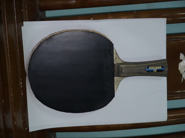 [ԭ��]����VISCARIA�ͼ�����