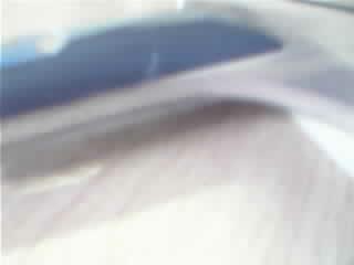 ���۶�������2006